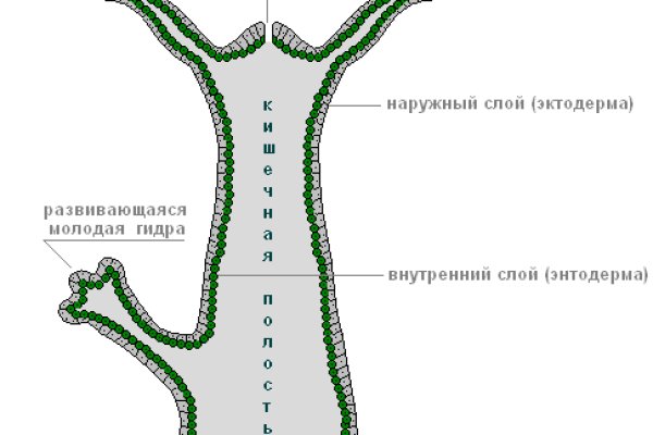 Официальный сайт даркнета