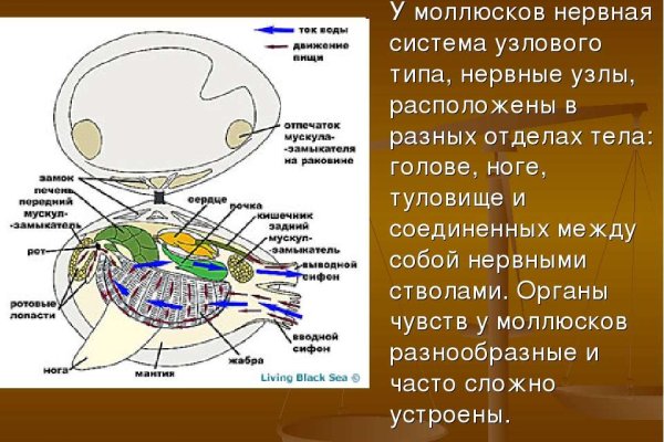 Кракен маркетплейс это